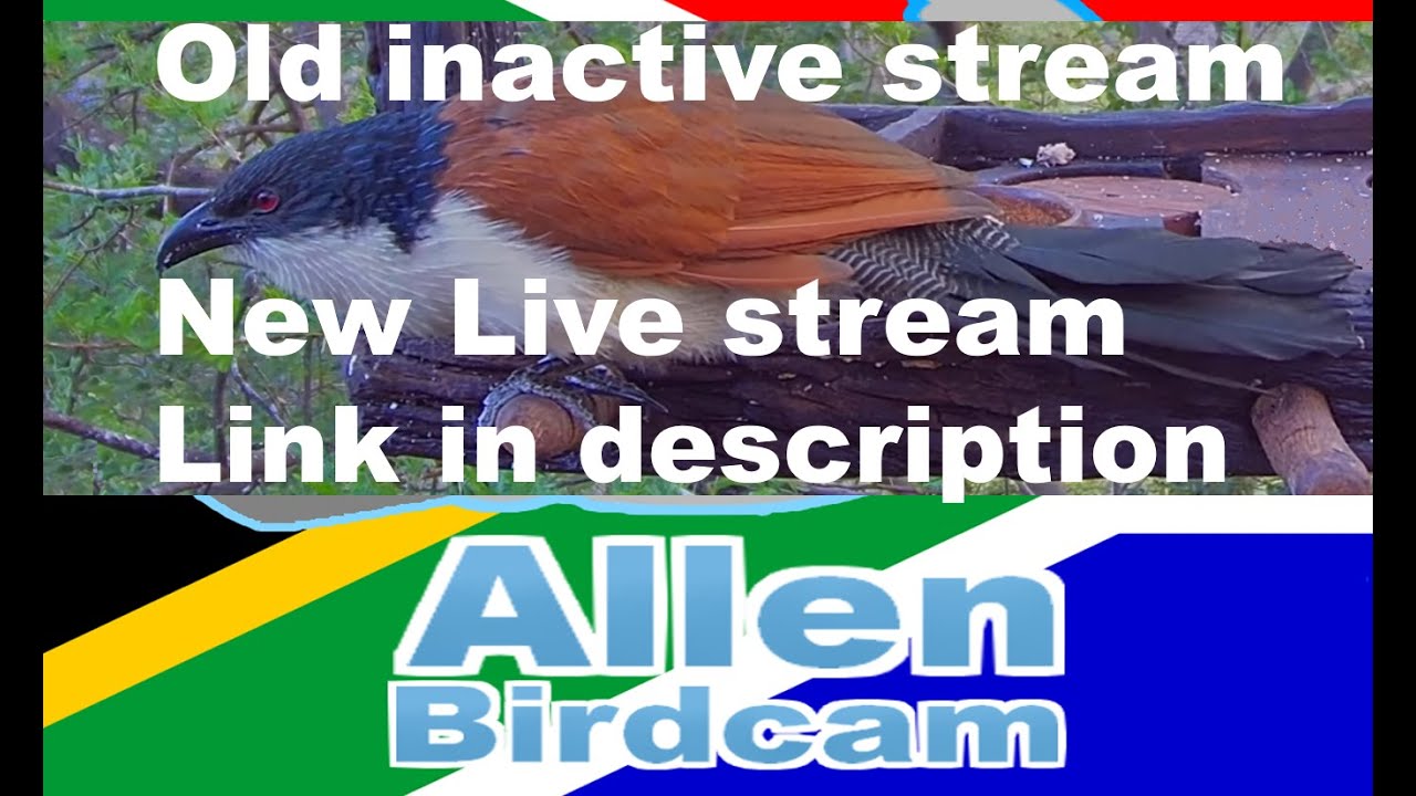 LIVE stream link changed: https://youtu.be/ODmAV8oHFhg