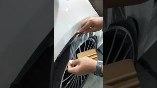 Perfect PPF Fender Cutting Technique 🔥 | Easy & Clean Finish Tutorial #shorts