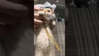 Sakin Ol Calm Down Baby Biraz Quality Ey Ey Ey