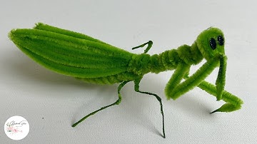 Tutorial DIY Animals - How to make Mantis with Pipe cleaner #hmstation