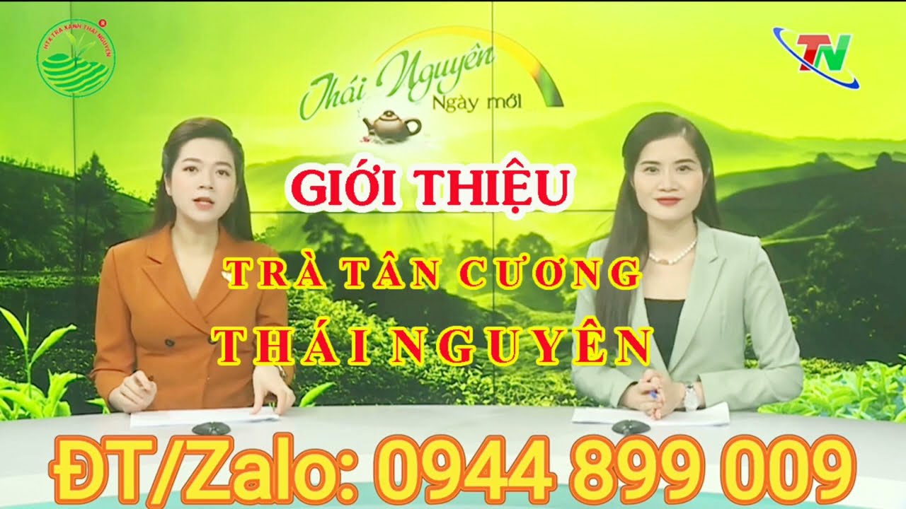 Khám Phá Trà Đinh Tân Cương Đại Gia - Tinh Hoa Chè Thái Nguyên Cao Cấp