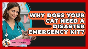 Why Does Your Cat Need A Disaster Emergency Kit? | Happy Cat Handbook
