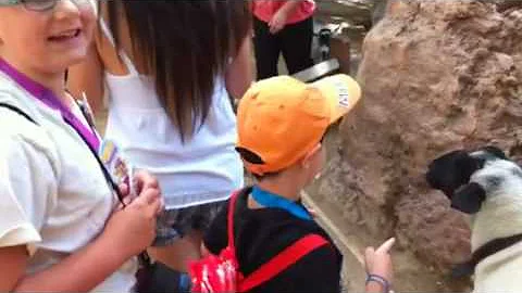 Petting the Disney Goats