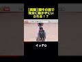 目の前に闘牛…あなたは一歩も動かずにいられる？ #イッテq