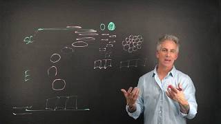 Cellular Shapes