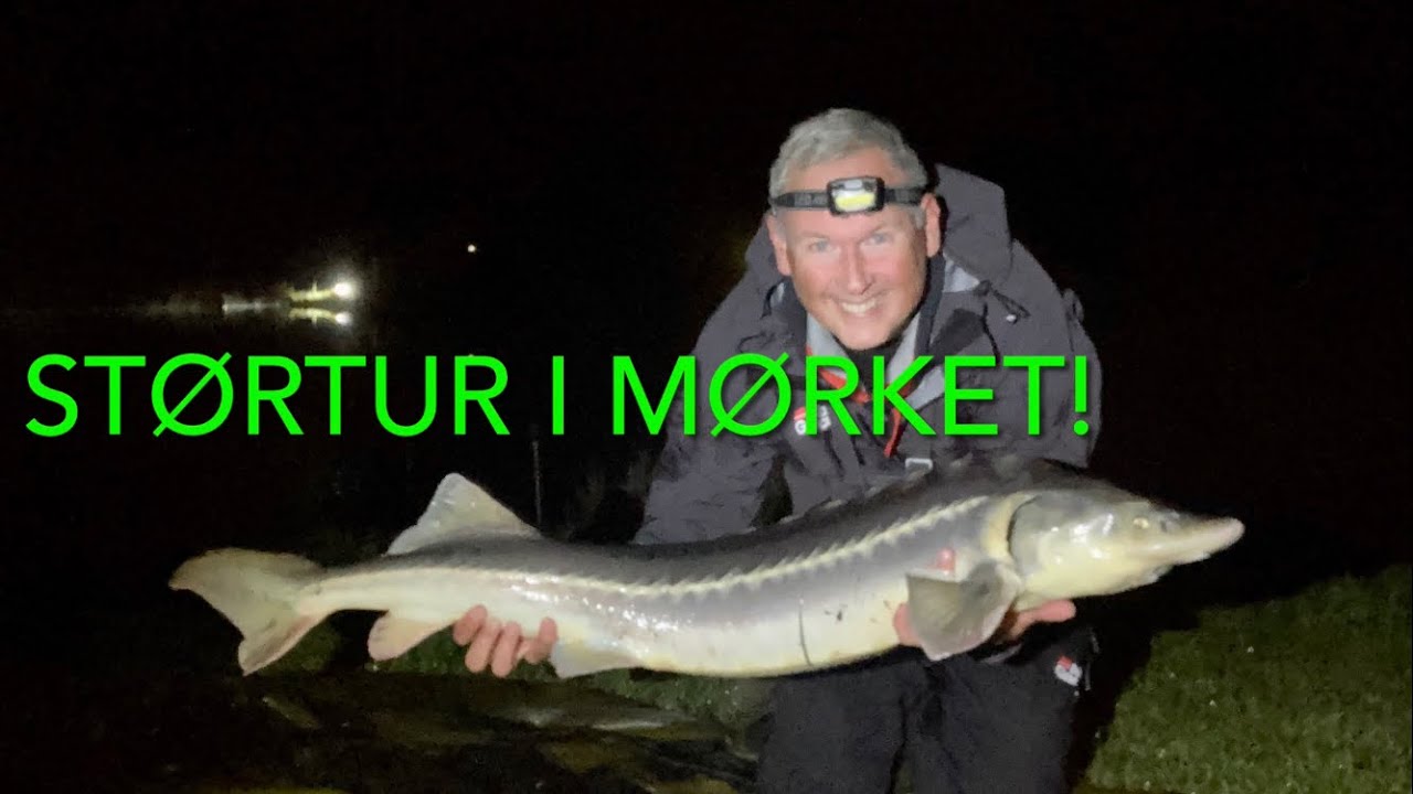 Stør i mørket! - YouTube