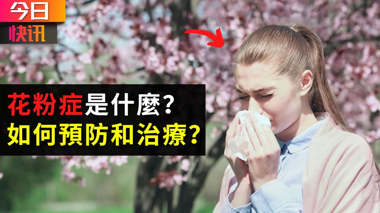 今日快訊 花粉症知多少 Youtube