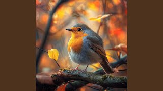 Nocturnal Notes for Serene Rest