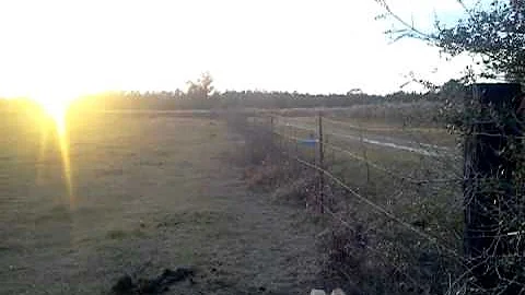 riding horses