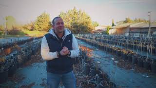 Matthias Meilland talks about winter-pruning and 2 new climbers