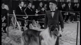 Lassie - Episode #281 - "Double Trouble" - Season 8 Ep.26  - 03/11/1962