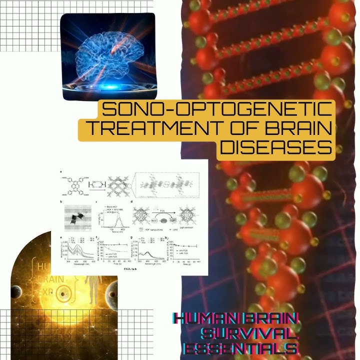 [Patent WO/2025/122626]