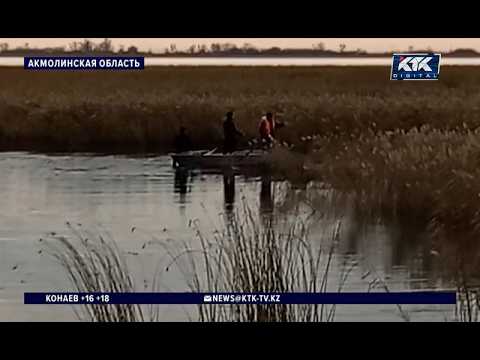 The body of a missing pensioner was found in a lake in the Akmola region.