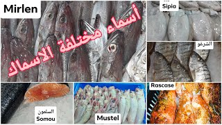 اكتشف أنواع الاسماك و أسماء مختلفة الأنواع Poisson variété avec son nom