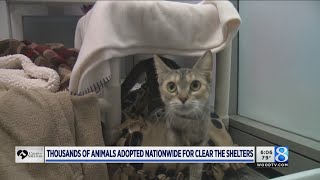 Thousands of animals adopted nationwide for Clear the Shelters