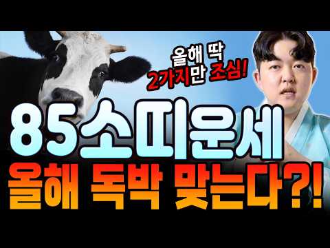 올해 독박터진다?! 딱 2가지를 조심해! 2026병오년 85년생 소띠운세!