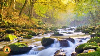 🔴 Relaxing Music 24\/7, Stress Relief Music, Sleep Music, Meditation Music, Study, Flowing River