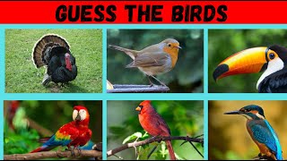 Guess the Bird Quiz | Bird Quiz | Quizevo