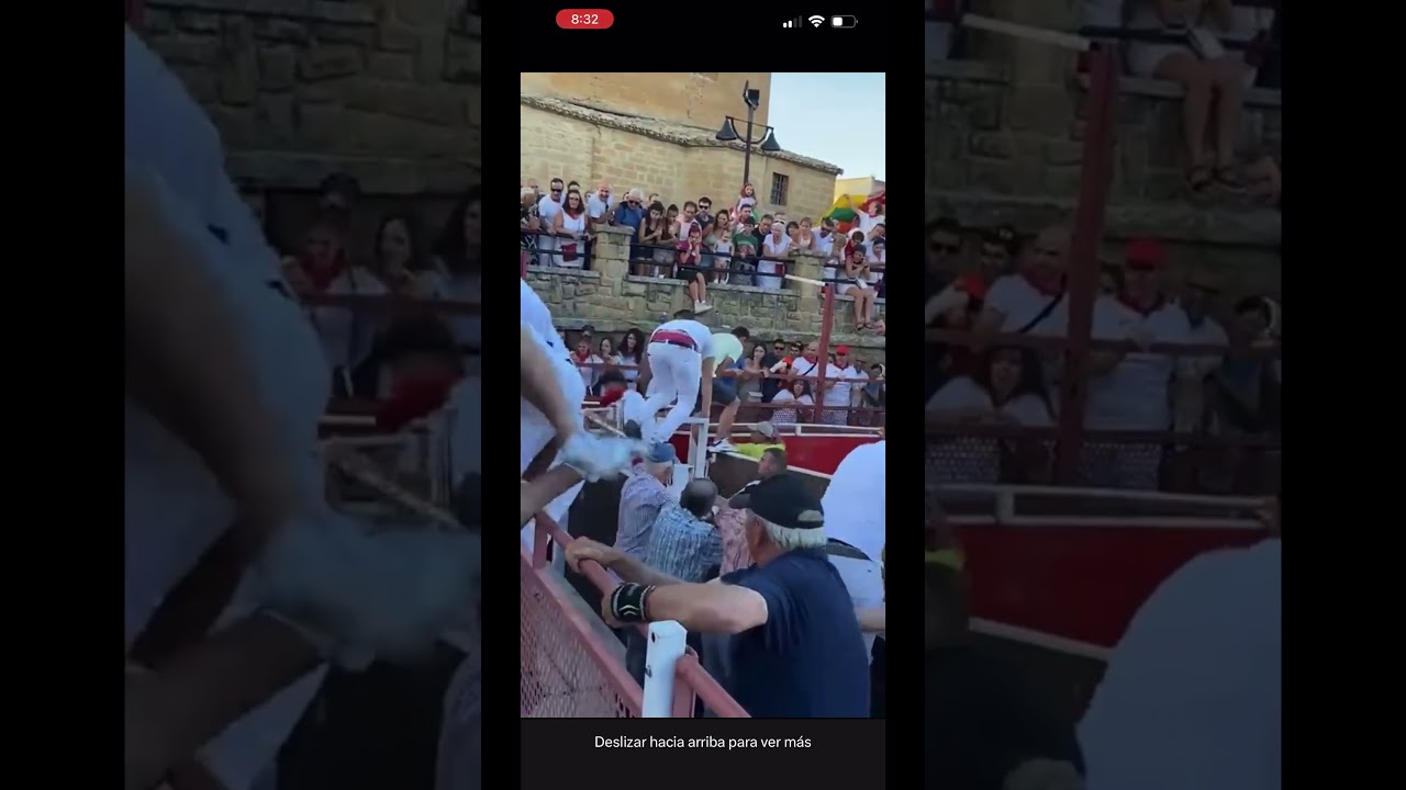 Susto en el festejo de vacas de Santacara., Navarra