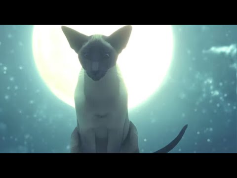 The SandmanThe Truth About The World Of Cats