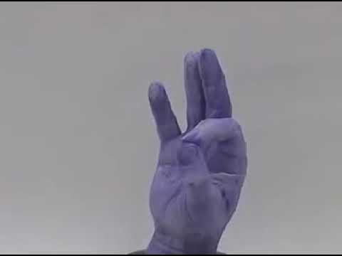 (הכנת פסל כף יד: מדריך להכנת תבנית כף יד ליציקה בעזרת אלגינט (חומר מיוחד המיועד להעתקות חלקי גוף