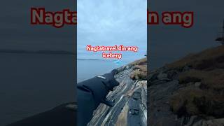 Iceberg ng Greenland nagtatravel din #pinoyingreenland #iceberg