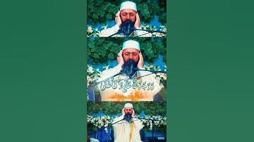 ألم يجدك يتيما فأوى | مقام الرست | سورة الضحى | القارئ سعيد طوسي Sheikh Saeed Toosi 2024