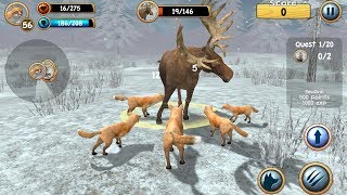 Wild Fox Sim 3D (by Turbo Rocket Games) Android Gameplay [HD] screenshot 5