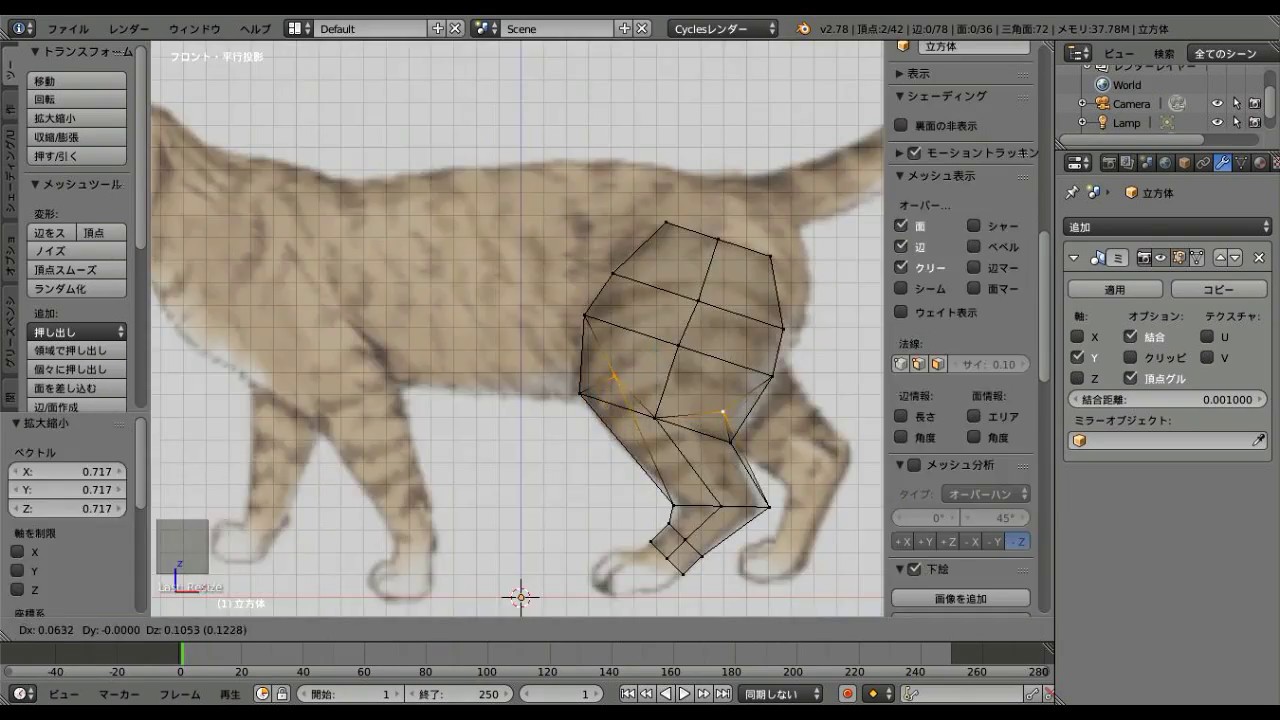 Cat blender video