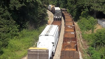 Chessie Crosses The Seaboard