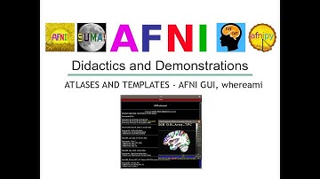 [AFNI Academy] Atlases and Templates - AFNI GUI and whereami?
