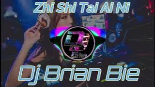 Zhi Shi Tai Ai Ni 只是太爱你 Remix By Dj Brian Bie