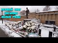 Памятник Юры Шатунова и белые розы все в ПЕРВОМ снегу.Розы присыпало снегом,очень КРАСИВО