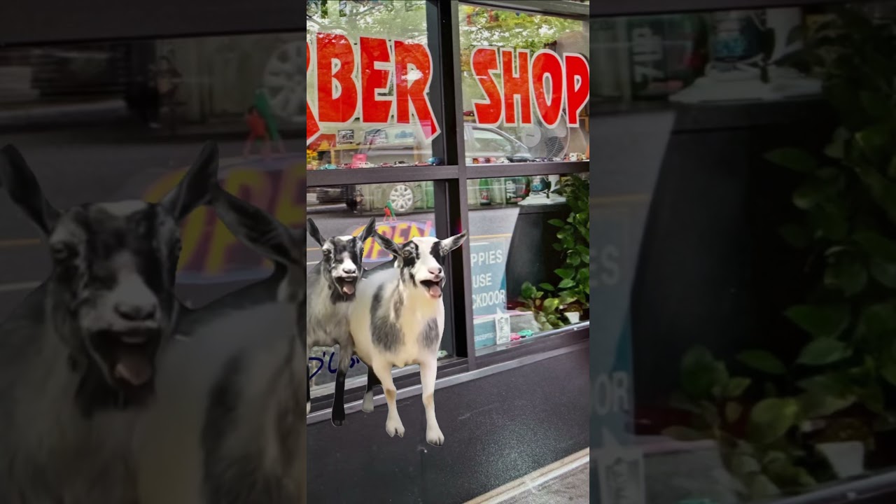 Not these two again!?! 