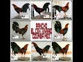 Pollos del Criadero El Centenario
