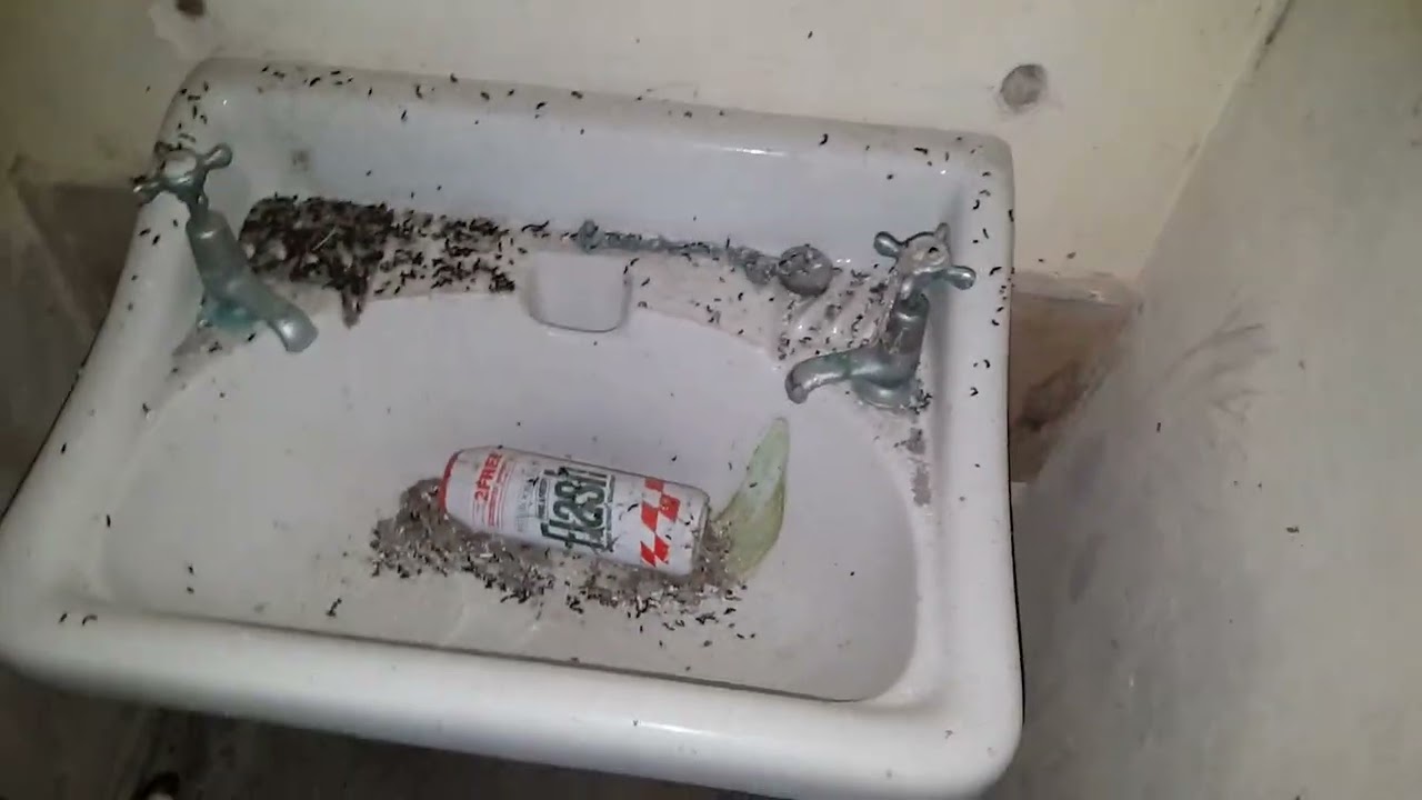 Saxway (2026) Urbex / Music Video