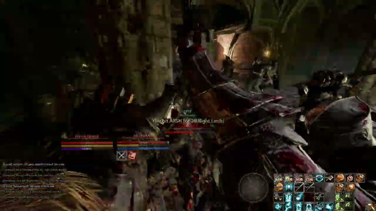 Mortal Online 2 - FR - Gameplay -  CrimsonBeast & Debars vs Nightmare