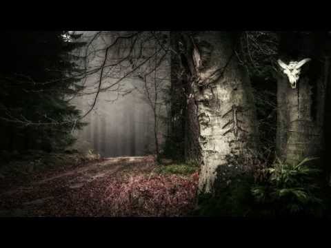 Zgard — Zgard - Contemplation (Созерцание)