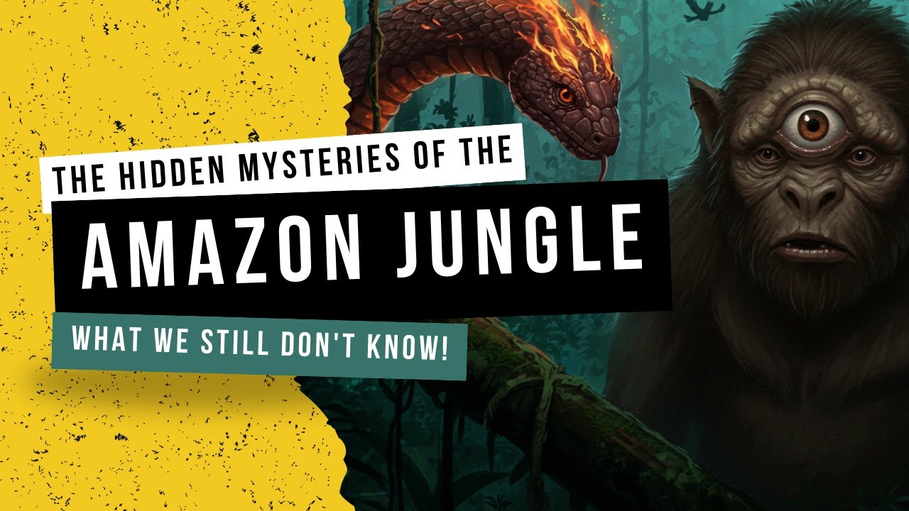 The Hidden Mysteries of the Amazon Jungle: What We Still Don't Know ...