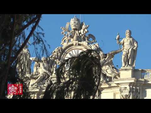 30 November 2020  - The Christmas tree arrives in the Vatican