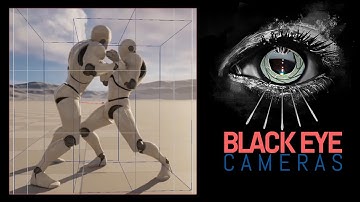 Unreal Engine | Black Eye Cameras: 2 person combat side camera tutorial