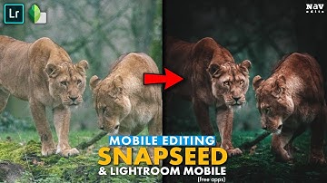 MOODY DARK LOOK in SNAPSEED and LIGHTROOM MOBILE (free apps) | Android | iPhone