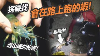 秘境探險! 一起去抓過山蝦！【史考特】ft. @RJ10969 by  史考特 Walking Wild 47,400 views 2 years ago 10 minutes, 59 seconds