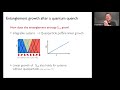 Far-from-equilibrium dynamics of systems with conservation laws