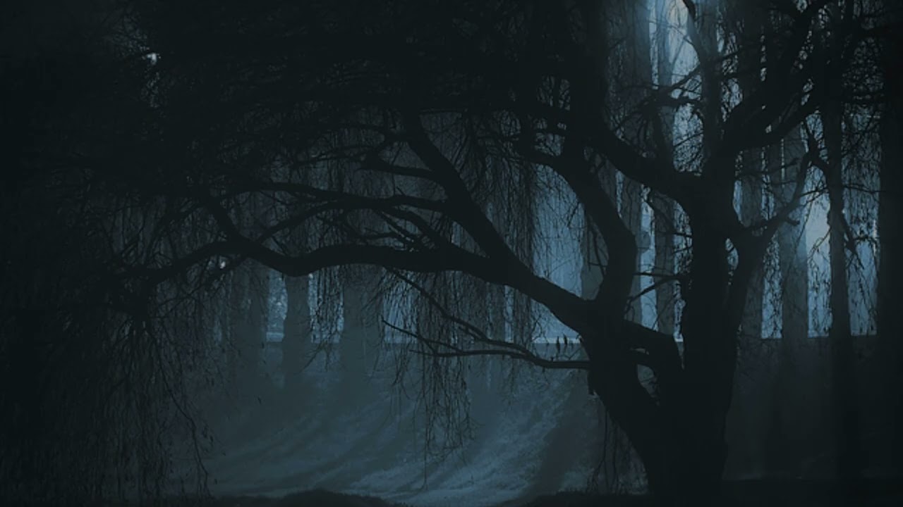 Terrore nella foresta nera