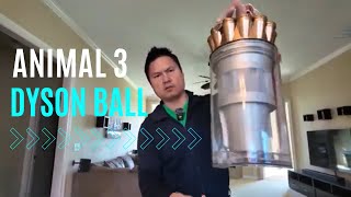 Dyson Ball Animal 3 | Copper Silver