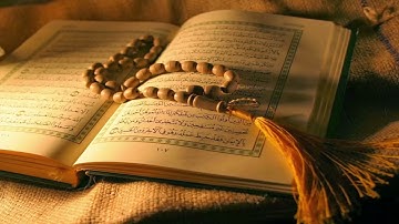 سورة يونس   مشاري العفاسي