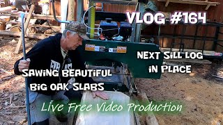 Wonderful big oak, Woodland Mills HM120, Next sill log in place - Vlog #164 - S4