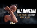 Wiz montana  les faux dirigents fama kolow prod by m3 music