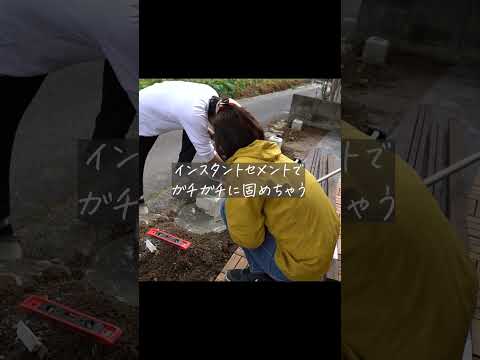 我が家の小さなお庭ができるまで #shorts hqdefault